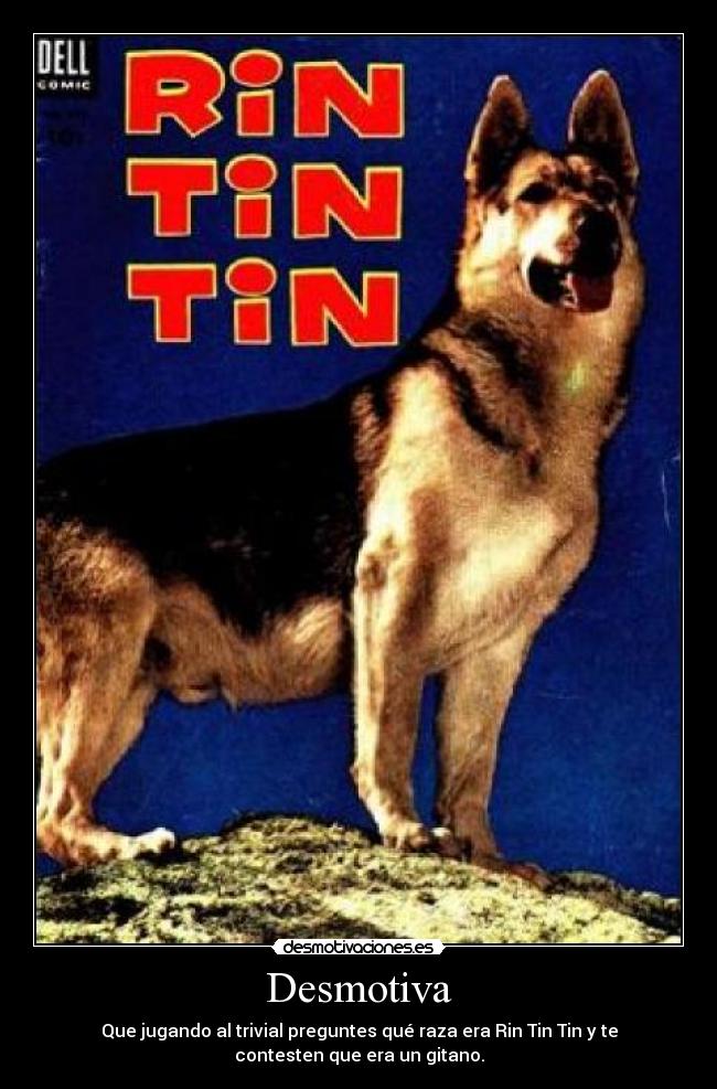carteles rintintin desmotiva gitano desmotivaciones