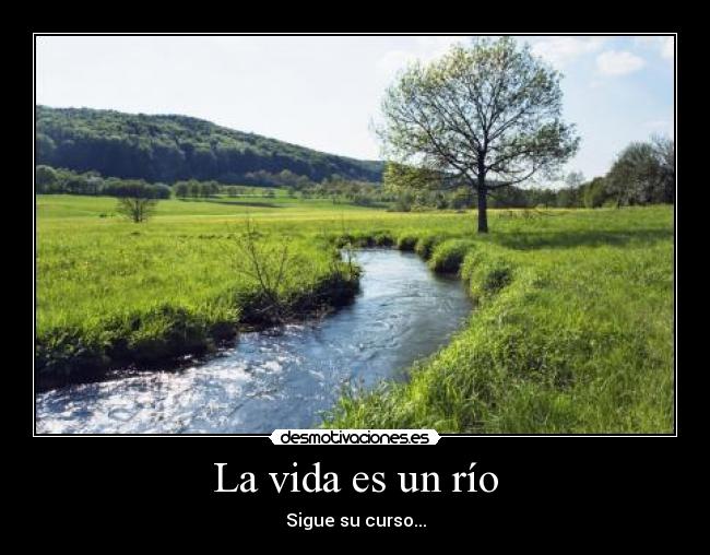 carteles vida rio vida curso desmotivaciones