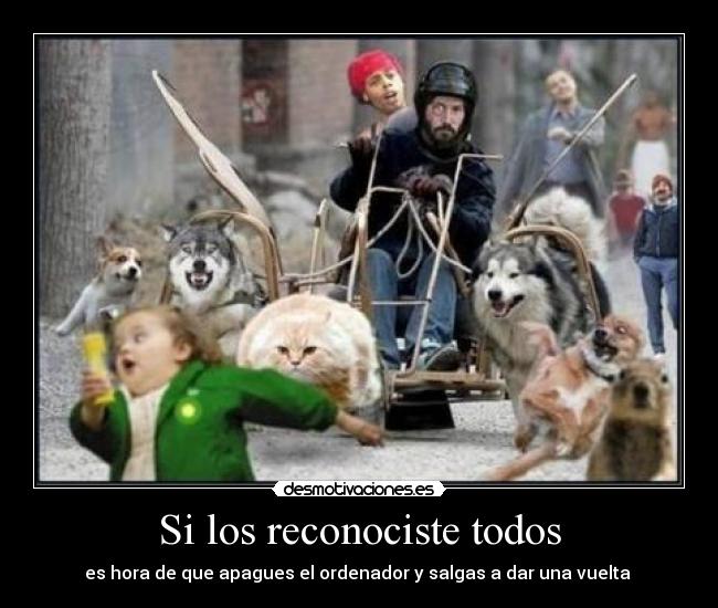 carteles sal desmotivaciones