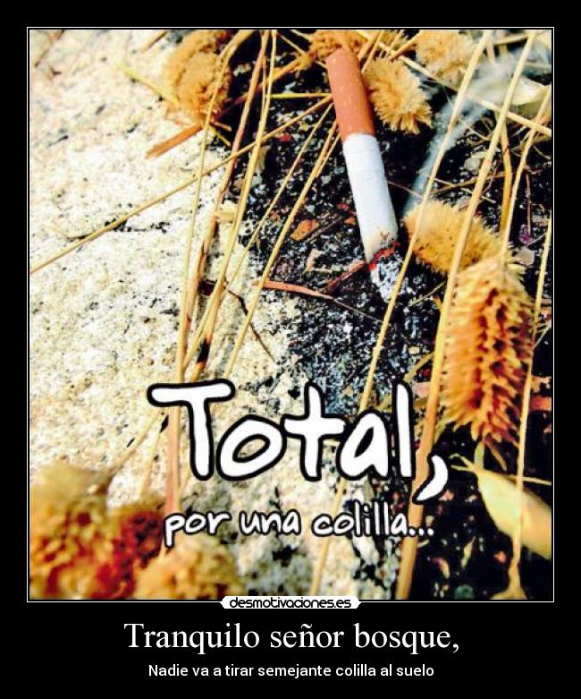 Tranquilo señor bosque, - 