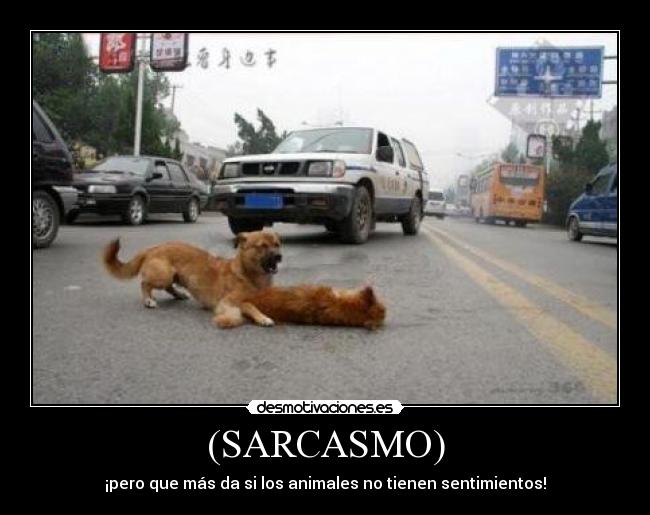 (SARCASMO) - ¡pero que más da si los animales no tienen sentimientos!
