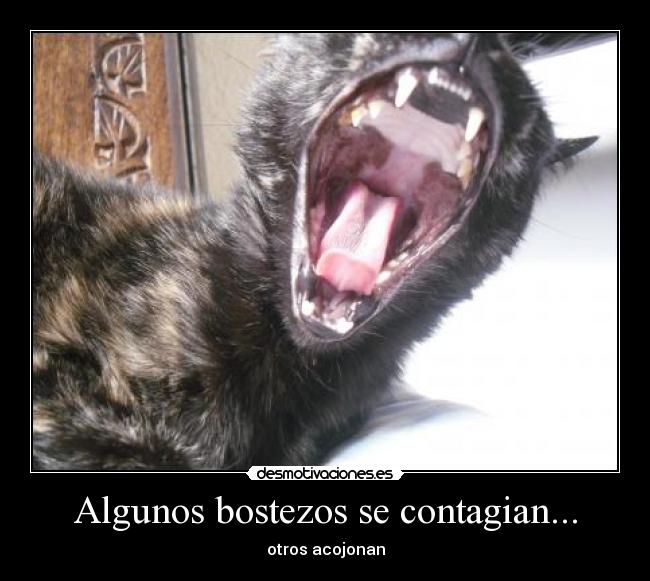 Algunos bostezos se contagian... -