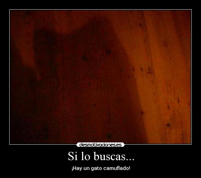 Si lo buscas... -