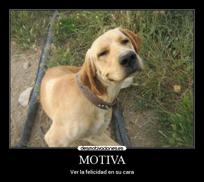 MOTIVA -