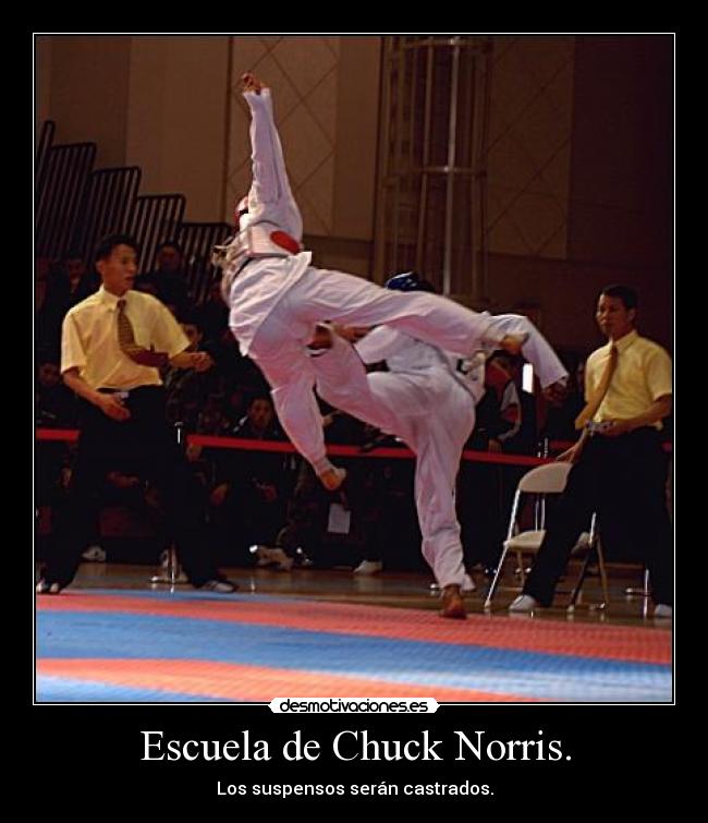 carteles escuela escuela chuck norris castracion gratuita suspensos fail desmotivaciones