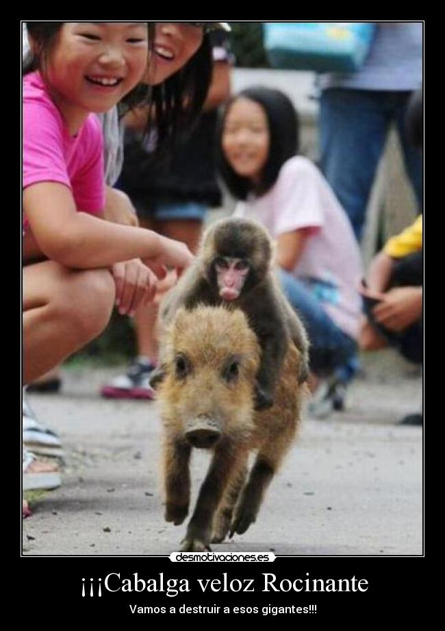 ¡¡¡Cabalga veloz Rocinante - Vamos a destruir a esos gigantes!!!