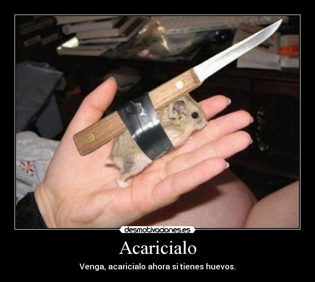 Acaricialo - Venga, acaricialo ahora si tienes huevos.