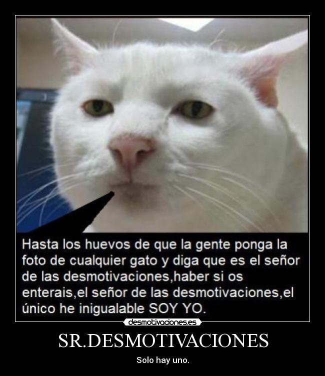 SR.DESMOTIVACIONES -