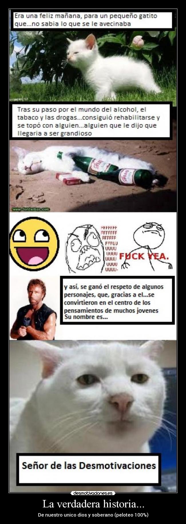 La verdadera historia... -