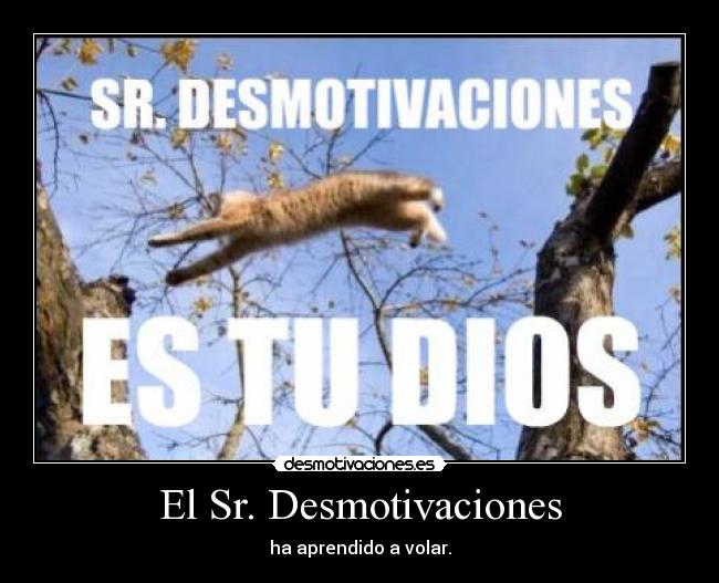 El Sr. Desmotivaciones - ha aprendido a volar.