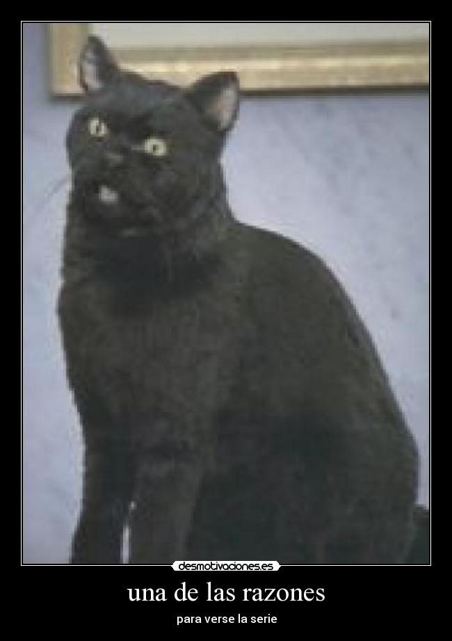 una de las razones - para verse la serie