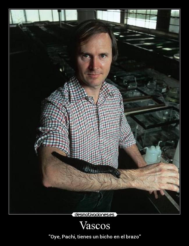 Vascos -