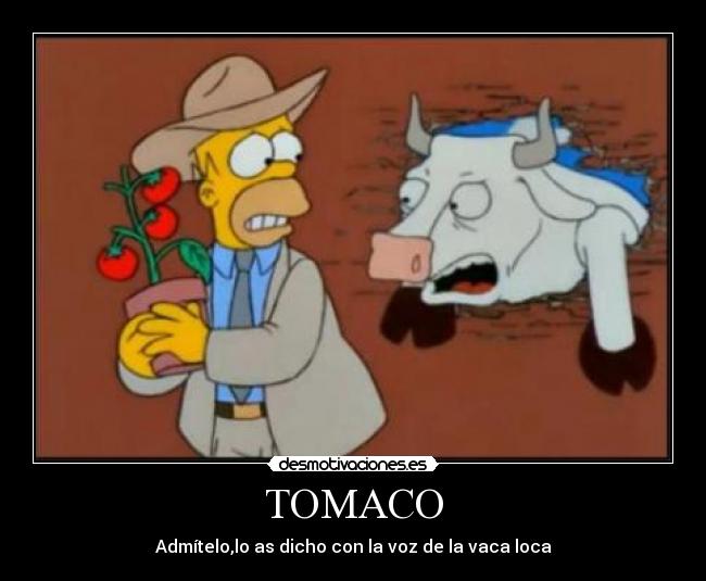 TOMACO - Admítelo,lo as dicho con la voz de la vaca loca