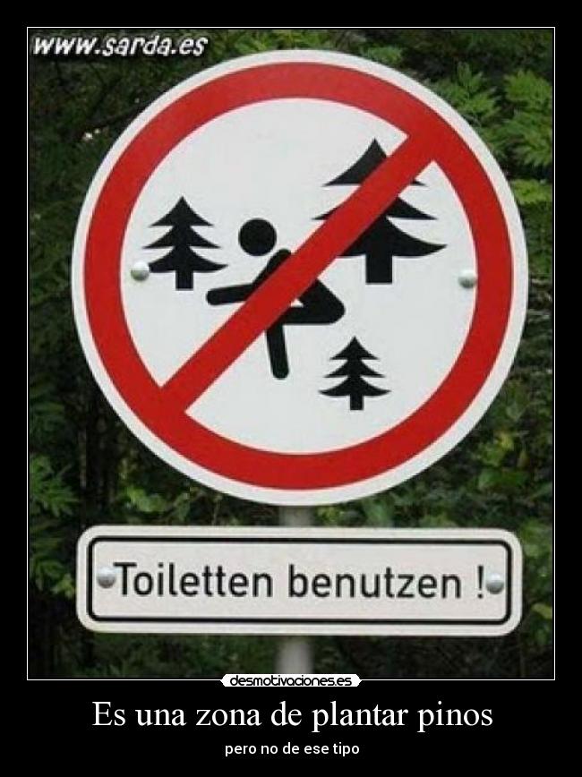 Es una zona de plantar pinos - 