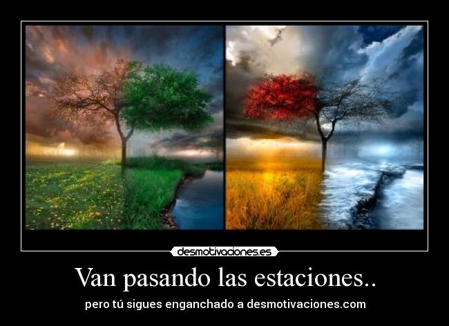 Van pasando las estaciones.. - 