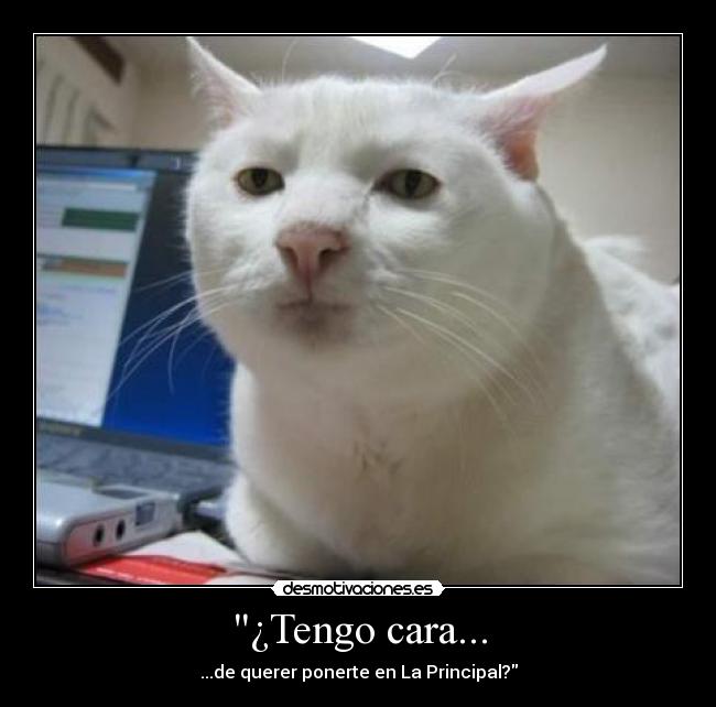 ¿Tengo cara... -