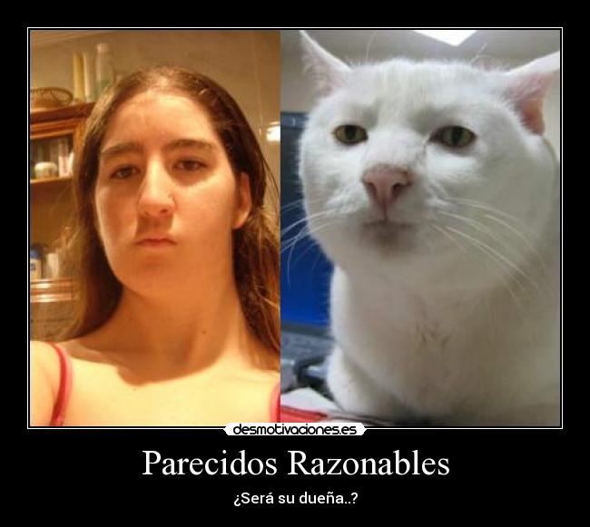 Parecidos Razonables - ¿Será su dueña..?