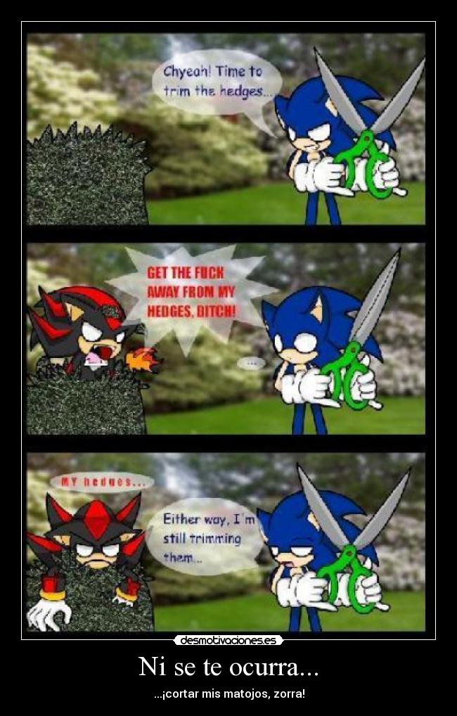 Ni se te ocurra... - ...¡cortar mis matojos, zorra!