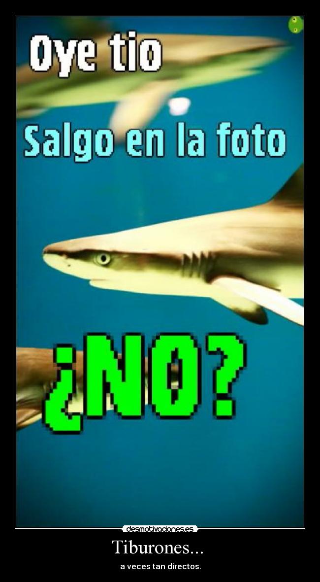 Tiburones... - a veces tan directos.