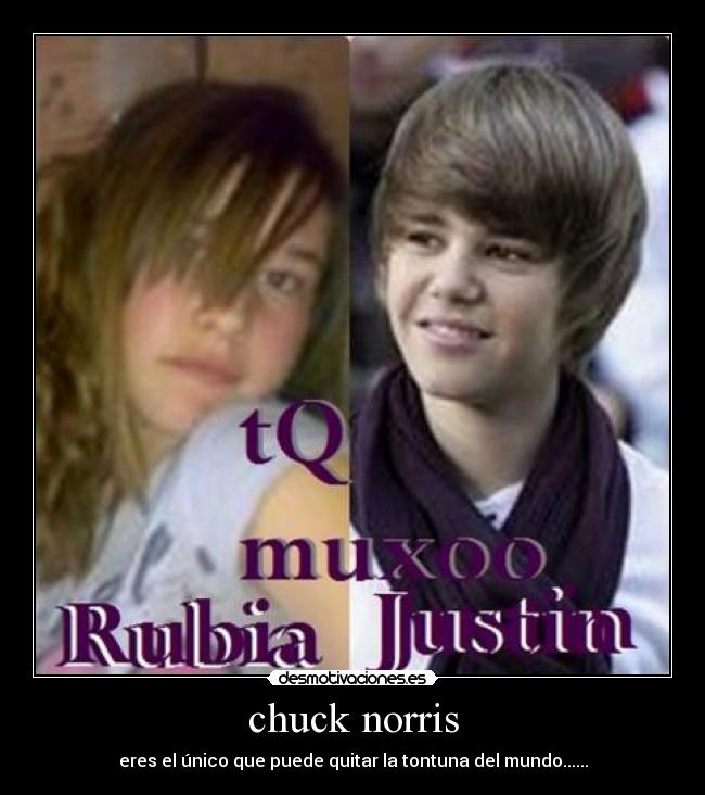chuck norris -