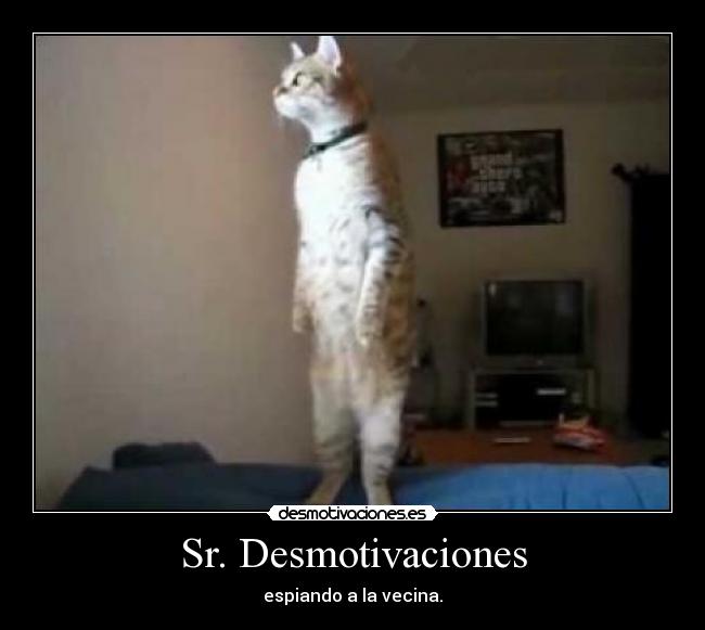 Sr. Desmotivaciones -