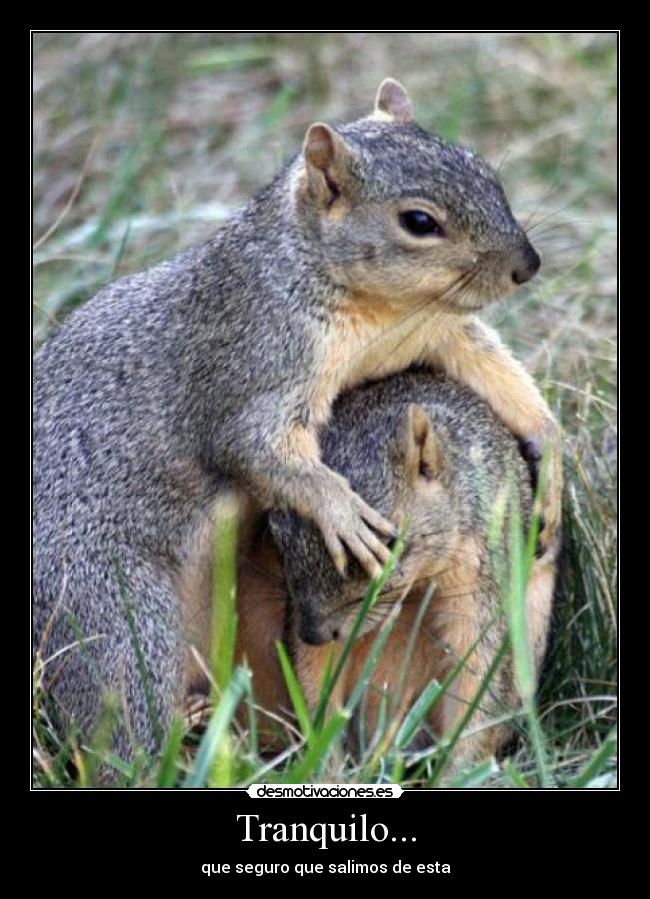 Tranquilo... -
