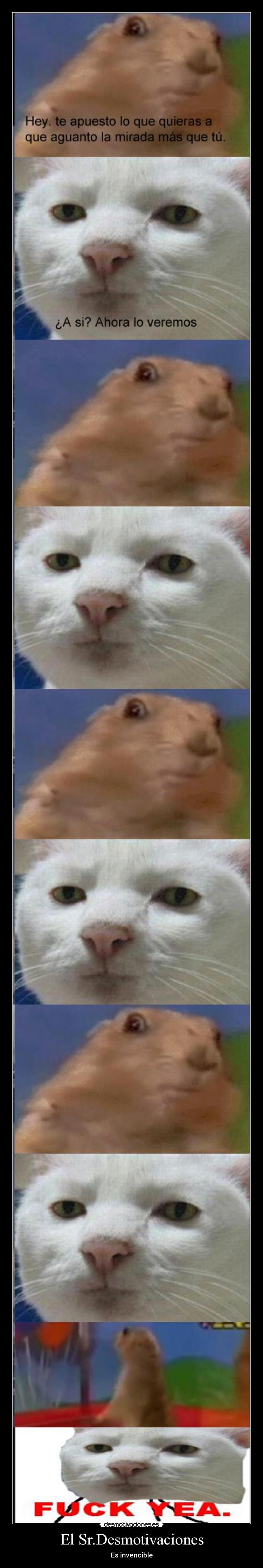 El Sr.Desmotivaciones -