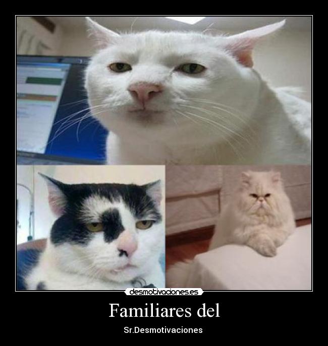 Familiares del - Sr.Desmotivaciones