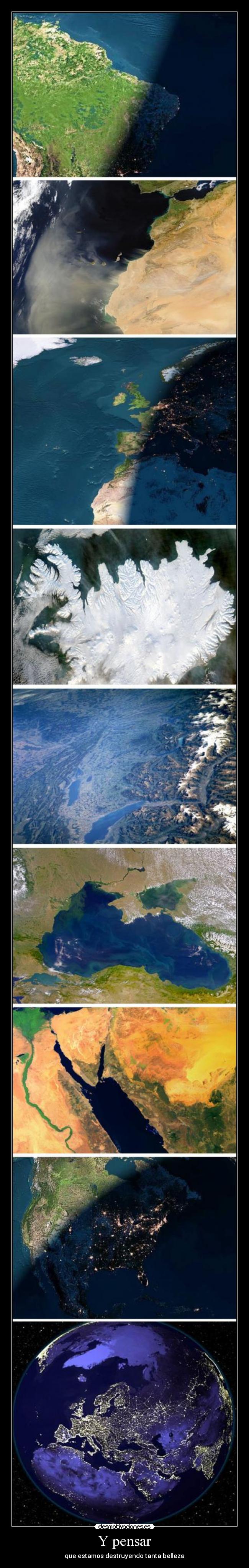Y pensar - que estamos destruyendo tanta belleza