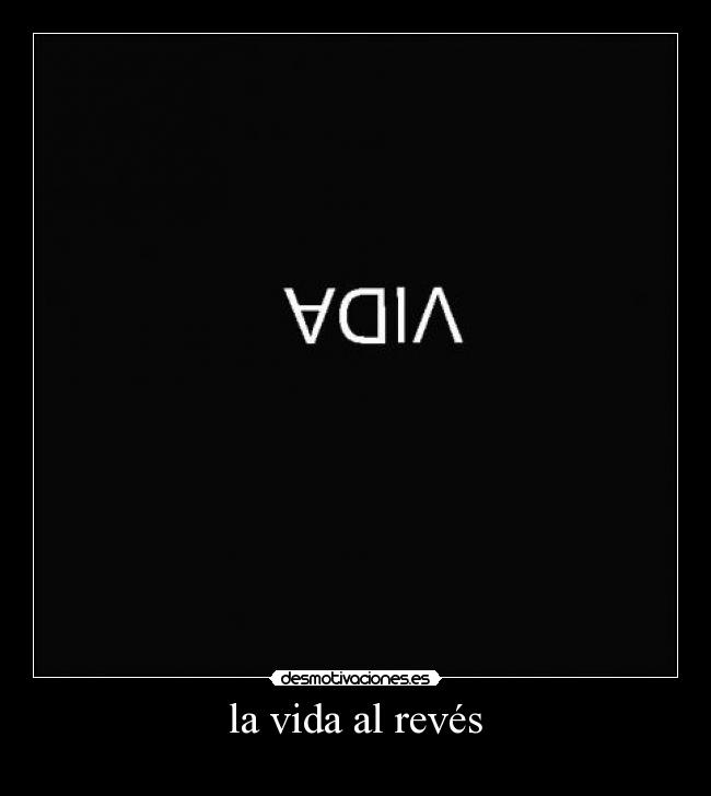 carteles vida vida desmotivaciones