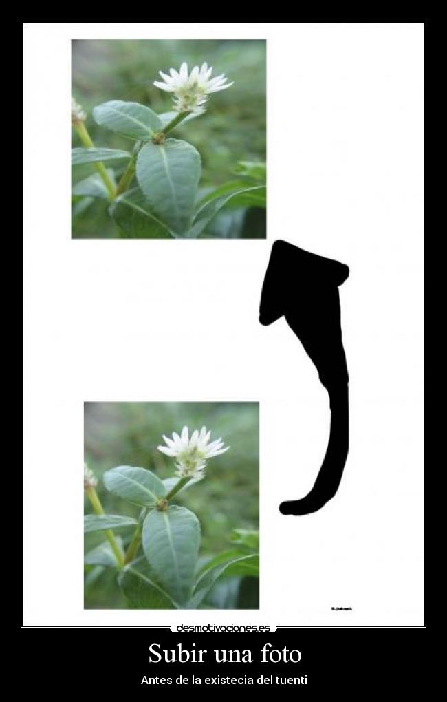 Subir una foto -