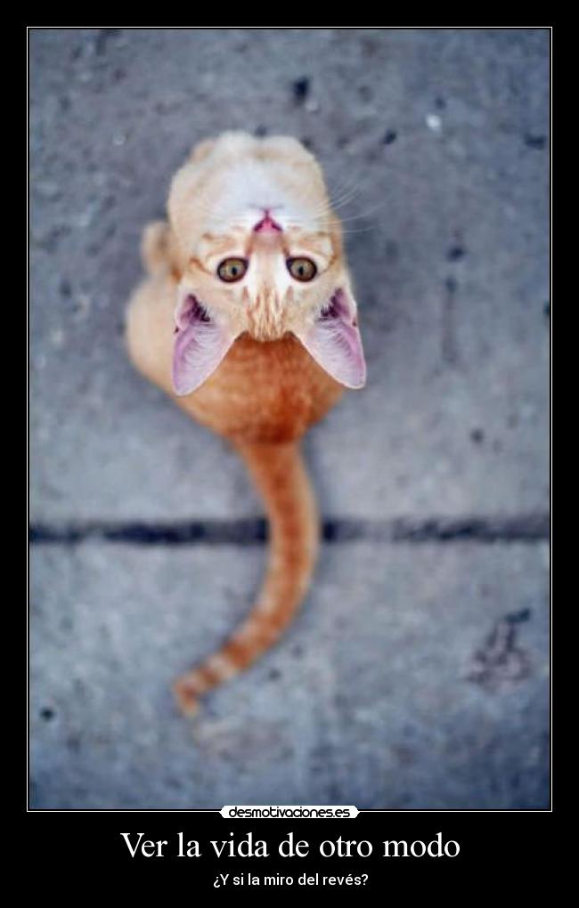 Ver la vida de otro modo - ¿Y si la miro del revés?