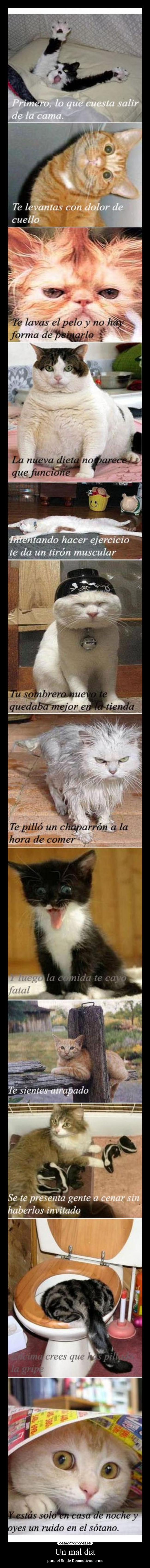 Un mal dia - para el Sr. de Desmotivaciones