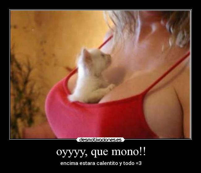 oyyyy, que mono!! - 