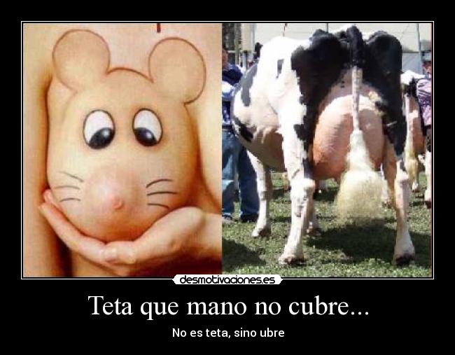 Teta que mano no cubre... - No es teta, sino ubre