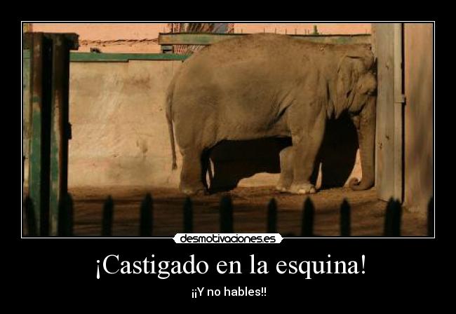 ¡Castigado en la esquina! -