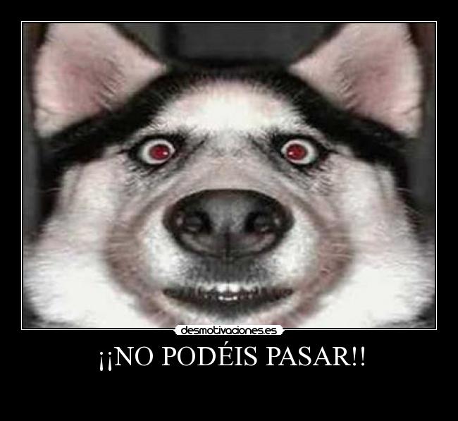 ¡¡NO PODÉIS PASAR!! - 