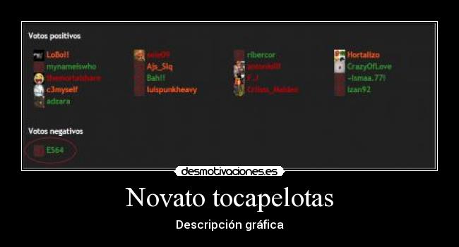 carteles puto novato desmotivaciones