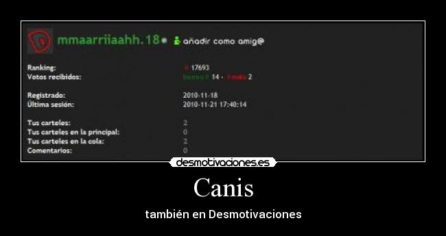 carteles canis desmotivaciones