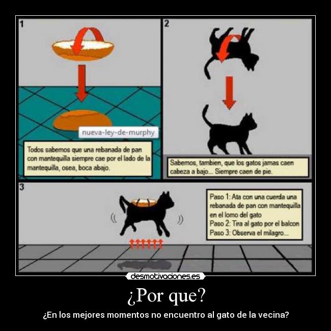 ¿Por que? - 