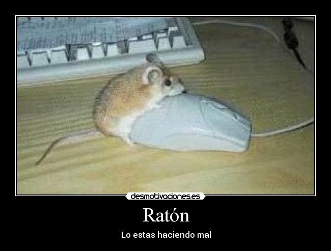 Ratón -