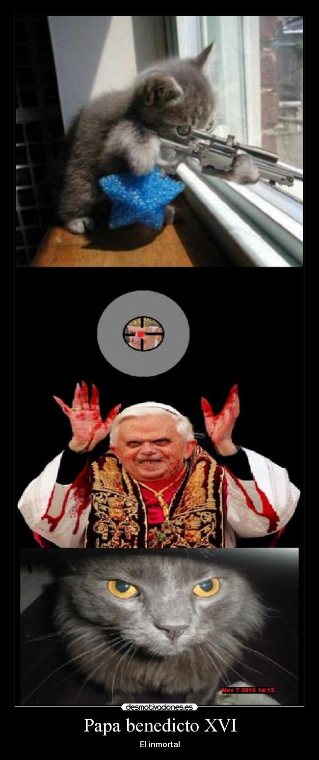 Papa benedicto XVI -
