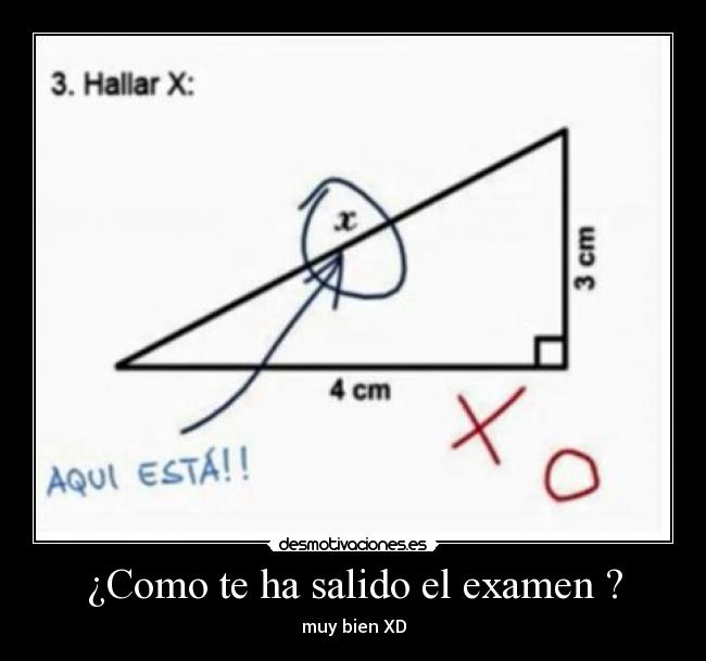 ¿Como te ha salido el examen ? -