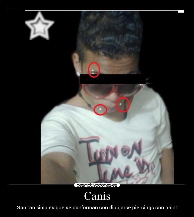 Canis -