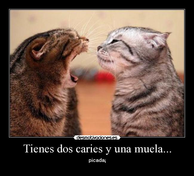 Tienes dos caries y una muela... - picada¡
