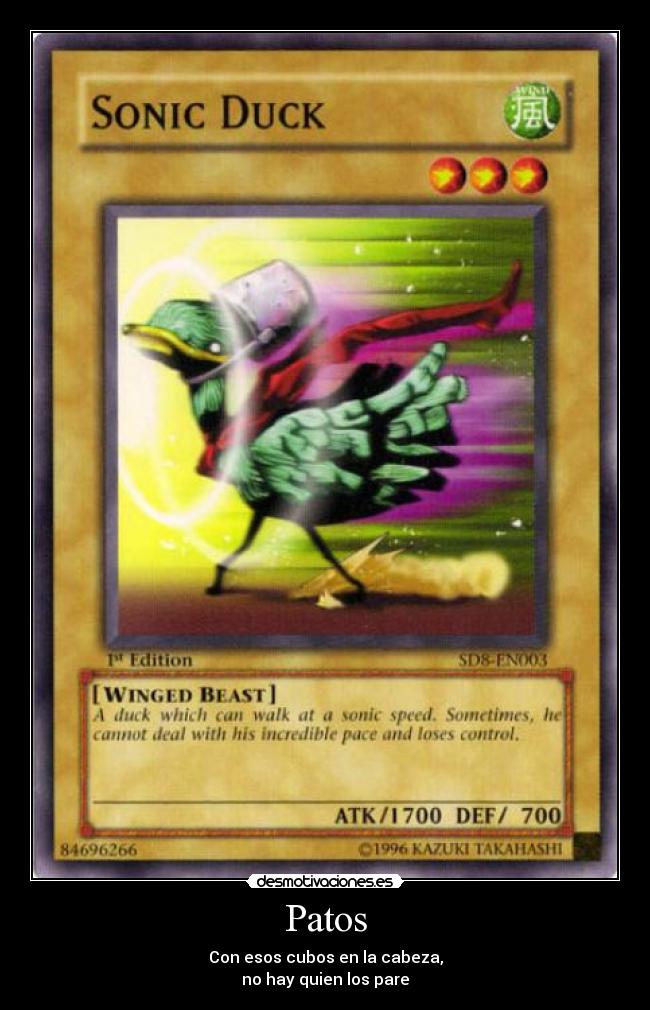 Patos - Con esos cubos en la cabeza,
no hay quien los pare