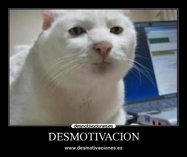 DESMOTIVACION - 