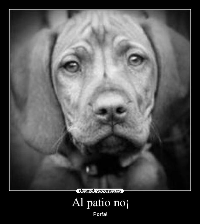 Al patio no¡ - Porfa!