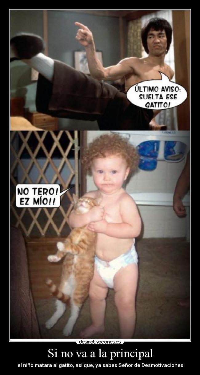 carteles gato desmotivaciones