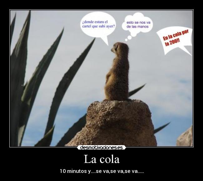 La cola - 